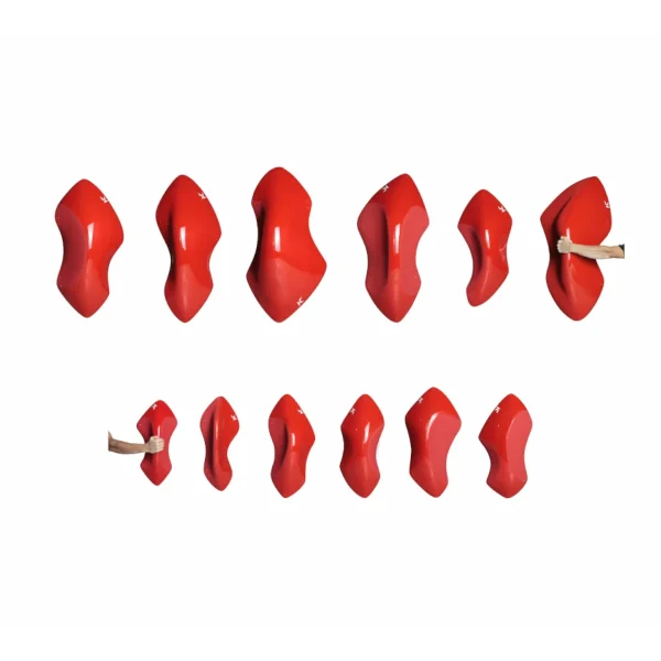 sigma-large-half-set مجموعه گیره سنگنوردی مدل سیگما (Sigma) - ۱۲ عددی