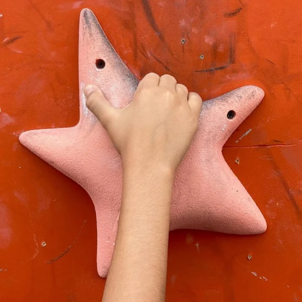 مجموعه گیره صخره‌نوردی استار (Star) – ۱۰ عددی