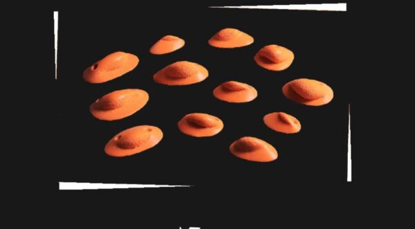 AGhand مجموعه حجم صخرهنوردی مدل(AG hand) – 12 عددی