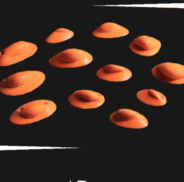AGhand مجموعه حجم صخرهنوردی مدل(AG hand) – 12 عددی
